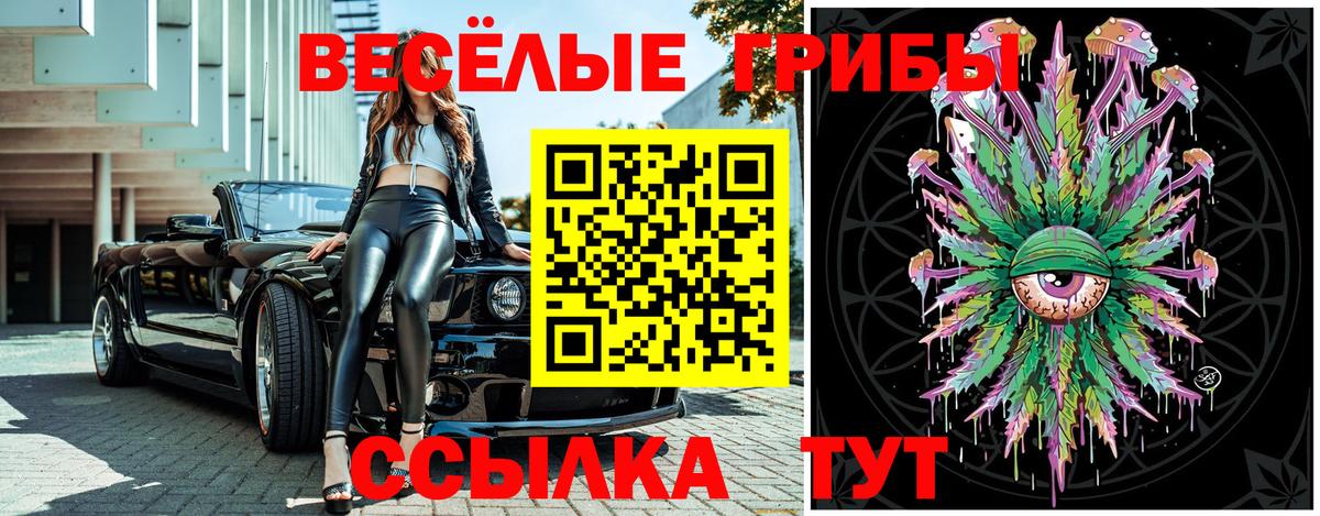 Галлюциногенные грибы Magic Shrooms  Псилоцибиновые грибы Magic Shrooms  Благодарный  Вход с VPN 